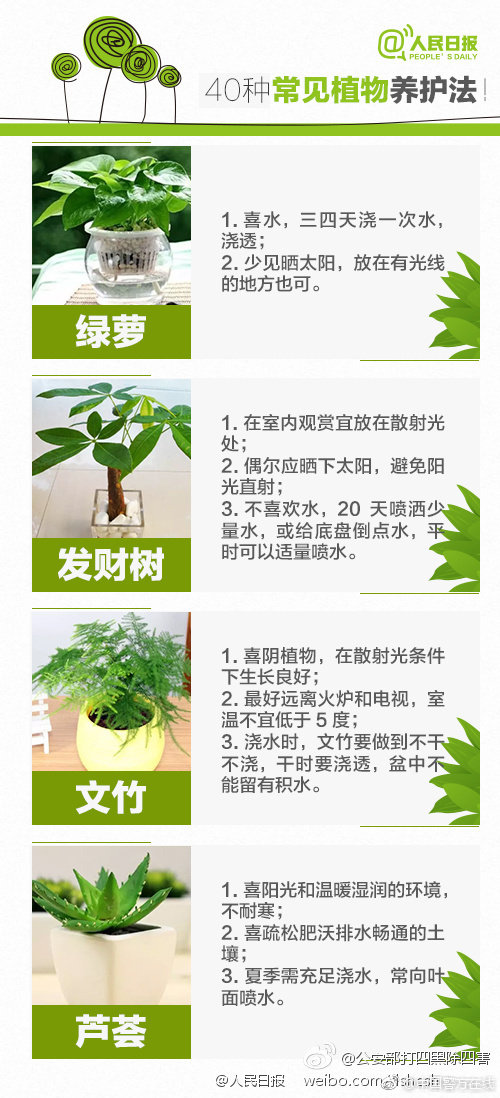 北京：燃油车占电动车泊位可加价收费！新规7月实施