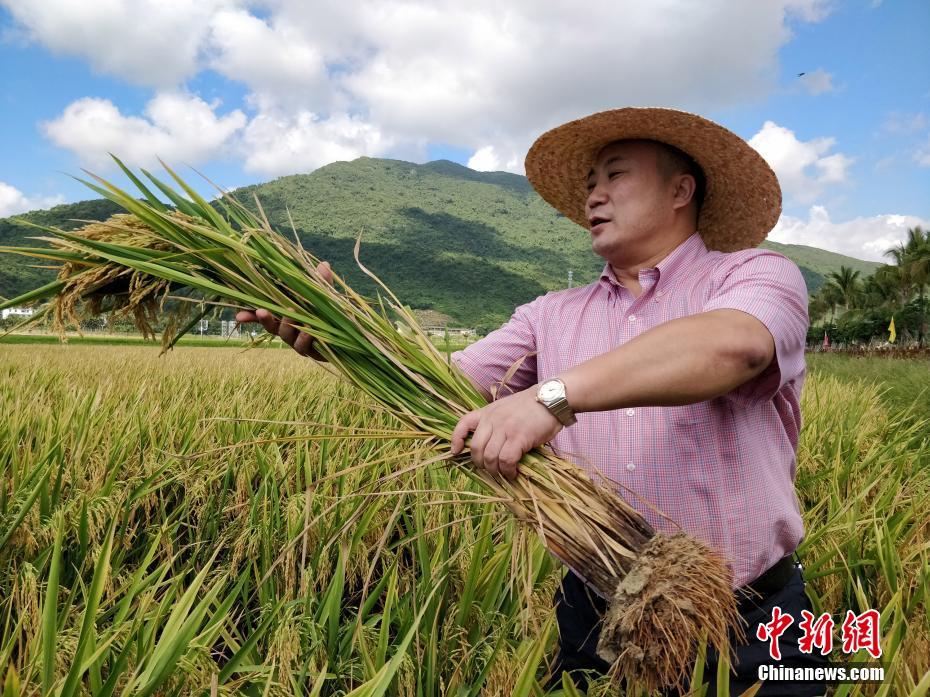 互联网大厂接连入局造车 最大挑战是什么?