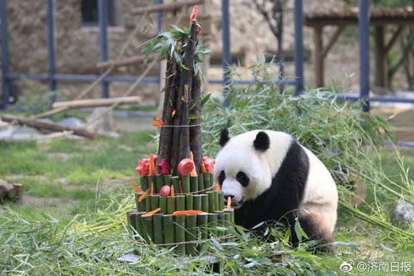 中超分组确定:广东三队A组 国安海港分B组